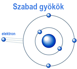 szabad gyökök